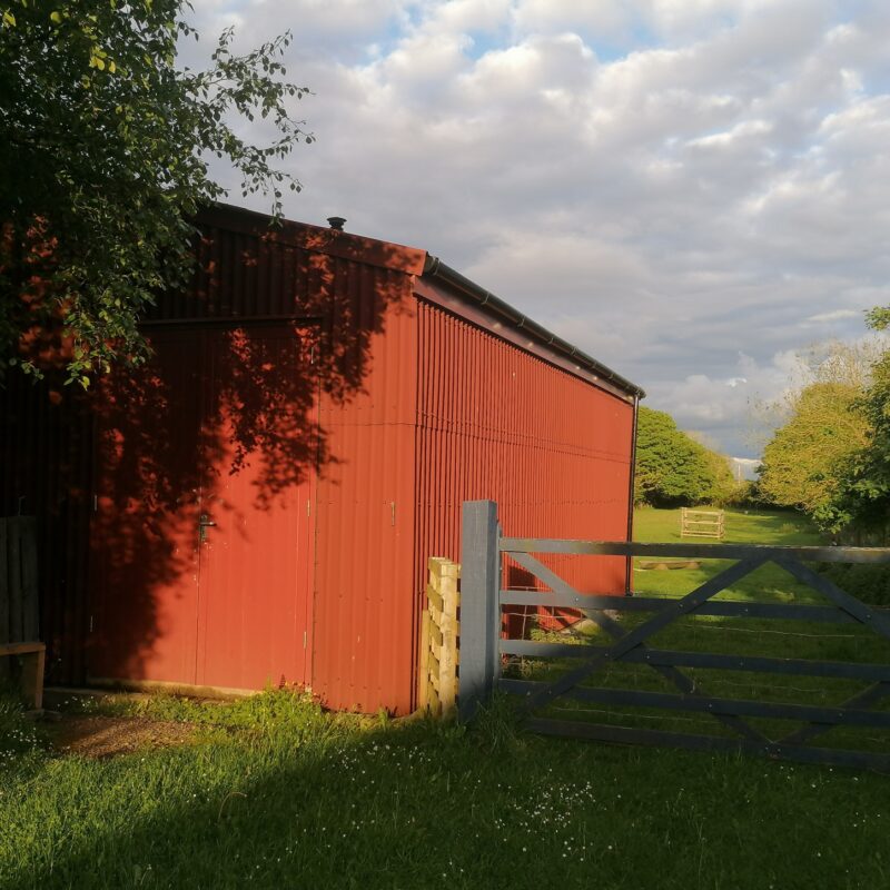 Alison Critchlow Artist studio, a large red shed in the sun beside a blue field gate.